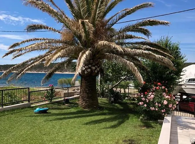 Birk krevet i doručak